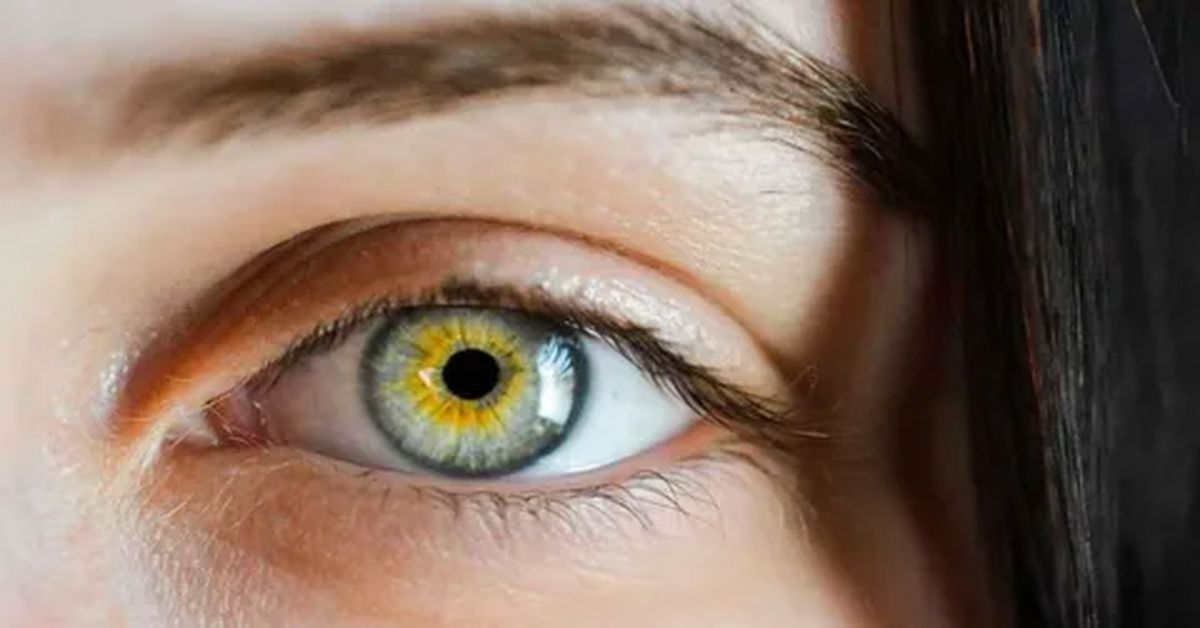 Uzak Göz Bozukluğu Tedavisi